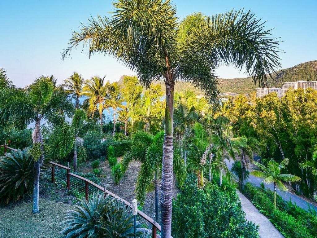 The Palms On Hamilton Island Villa Exterior photo